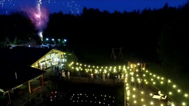Gece Görüşünde Havai Fişek Festivali Gece Gökyüzünde Yüksek Renkli Havai — Stok video