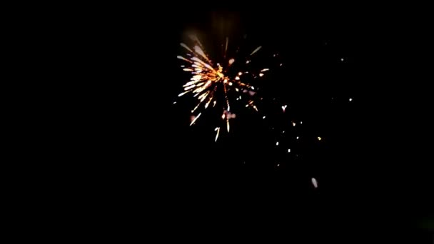 Fundo Fogos Artifício Festivo Noite Engraçado Grande Fogo Artifício Colorido — Vídeo de Stock