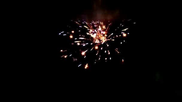 Fogos Artifício Festivos Noite Engraçado Grande Fogo Artifício Colorido Céu — Vídeo de Stock