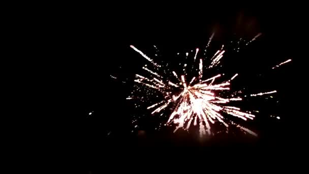 Πυροτεχνήματα Γιορτινά Νύχτα Αστείο Μεγάλο Πολύχρωμο Πυροτέχνημα Στον Ουρανό — Αρχείο Βίντεο
