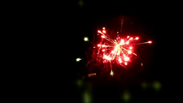 밤에는 불꽃놀이를 웃기는 불꽃놀이 하늘에 펼쳐져 — 비디오