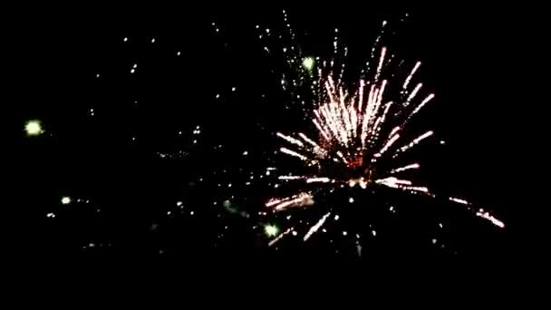烟火在夜晚欢庆 天空中有趣的五彩缤纷的烟火 — 图库视频影像