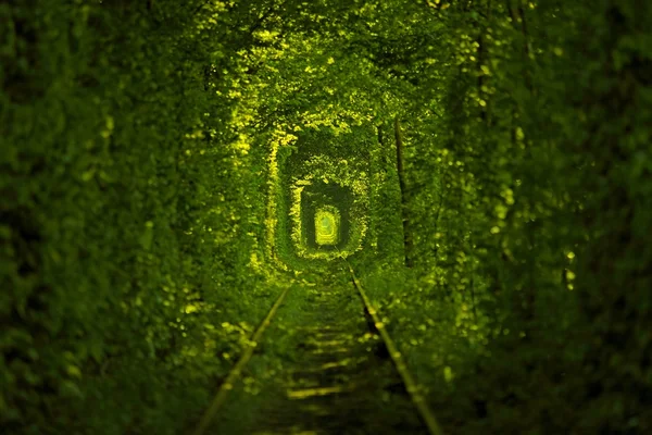 Tunnel of Love — Stock Photo, Image