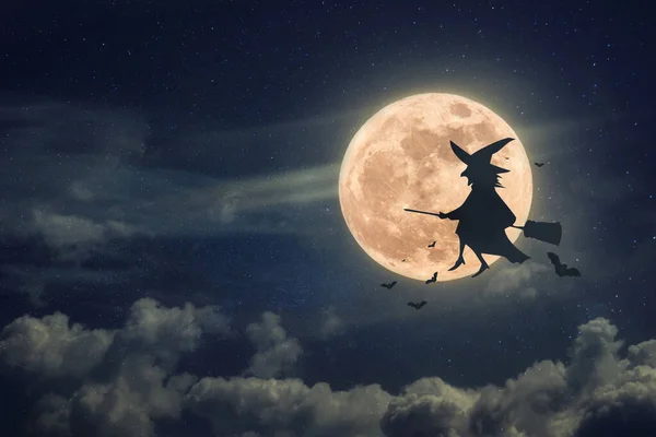 박쥐와 빗자루에 매달린 마녀는 보름달이 배경으로 — 스톡 사진