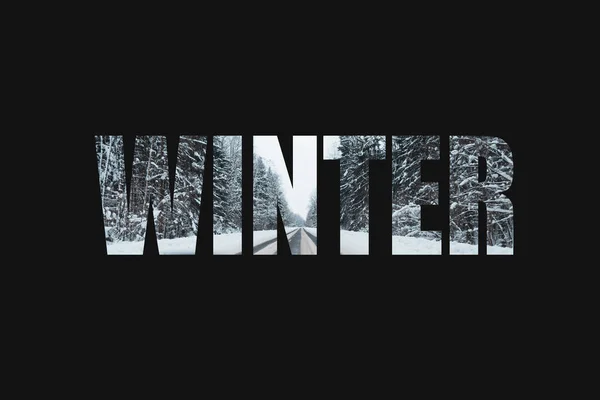 Winter Season Forest Straight Road Creative Font Design Lettering Winter — Stock Photo, Image