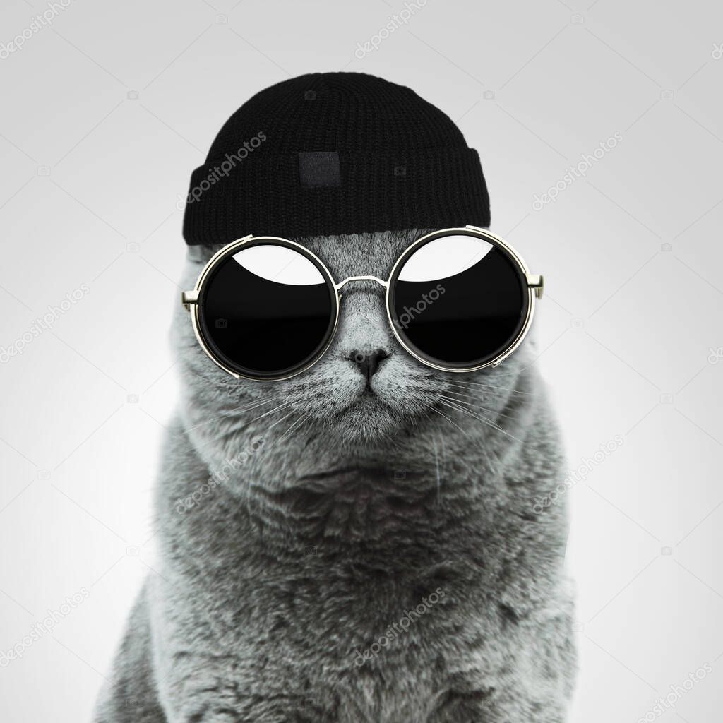 Occhiali da sole gatto neri hot sale