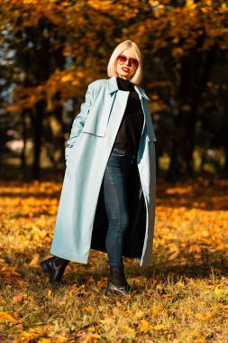 Şık güneş gözlüklü, zarif mavi ceketli genç ve şık bir bayan güneşli bir günde, sonbahar parkında sarı sonbahar yapraklarıyla yürüyor.