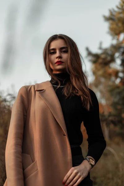 美しい若いスタイリッシュな女性でファッショナブルなコートでヴィンテージセーター屋外でフィールドに草 — ストック写真