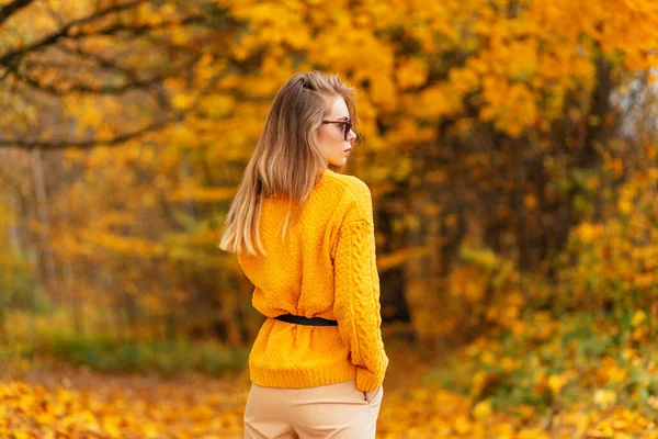 Fashionable Woman Sunglasses Vintage Knitted Sweater Walks Autumn Forest Bright — Stock Photo, Image