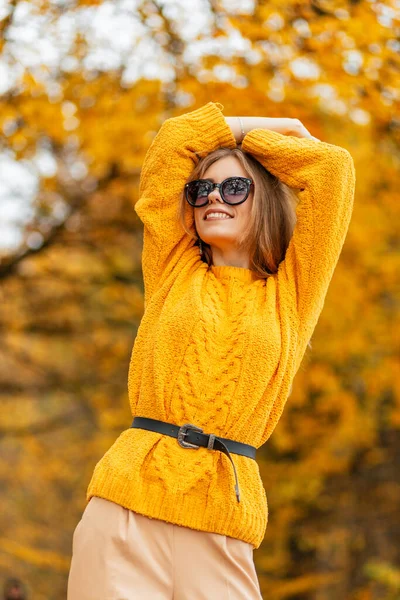 Mutluluk Güler Yüzlü Modaya Uygun Güneş Gözlüklü Klasik Örgü Süveterli — Stok fotoğraf