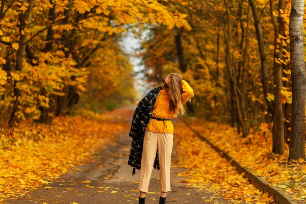 美丽的年轻女子穿着时髦的秋装 穿着针织毛衣 黑色连衣裙和裤子 走在一个有着黄色秋叶的公园里 — 图库照片