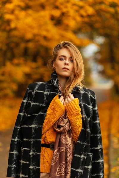 穿着黑色外套 古色古香毛衣和围巾的漂亮的欧洲模特穿着时髦的秋装走在一个有着落叶的令人惊奇的黄色公园里 — 图库照片