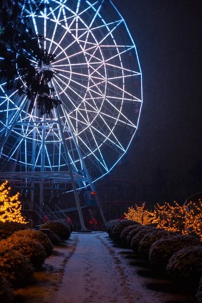 Helles Riesenrad Mit Neonlicht Einem Fantastischen Winterpark Bei Nacht Mit — Stockfoto