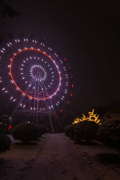Цветные Удивительные Освещенные Колеса Обозрения Зимнем Городском Парке Ночью Снегом — стоковое фото