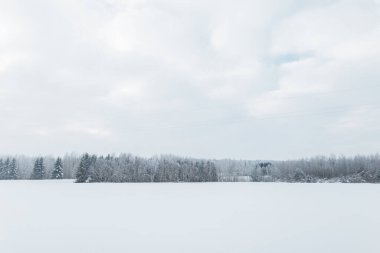 Kar ve ormanla muhteşem kış manzarası