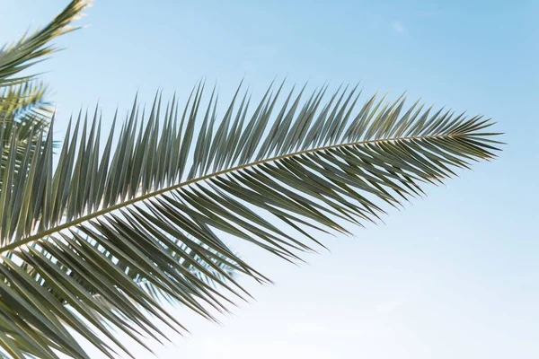 Deniz sahilinde 2022 yılınız kutlu olsun. 2022 yılının ve 2021 yılının soyut arkaplan fotoğrafı