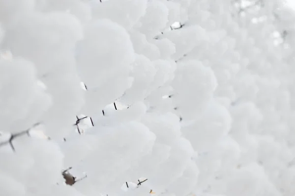 Hermosa Nieve Malla Metálica Valla Frío Día Invierno — Foto de Stock