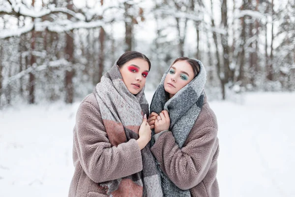 Rus kış modası tarzı dış giyim. İki güzel genç kız arkadaş. Kaliteli, kalın elbiseli, ceketli ve parktaki kar eşarplı kadın modeller.