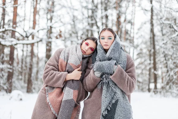Modaya uygun kışlık giysiler içinde, eski bir eşarp ve kürk mantoyla parkta kar altında yürüyen iki güzel genç kız kardeş.