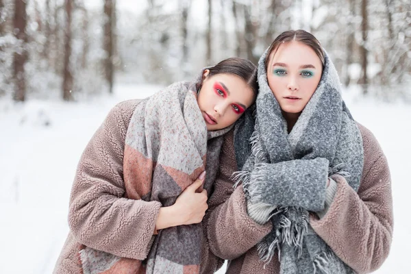 两个年轻貌美的姐妹女友 穿着时尚的冬季旧衣服 穿着毛皮外套 头戴围巾 站在雪地里的冬季公园里 外型俄罗斯女性风格 — 图库照片