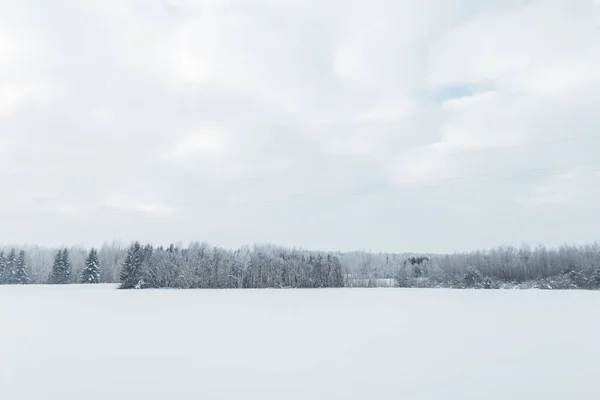 Fantastisk Vinterutsikt Med Snö Och Skog — Stockfoto
