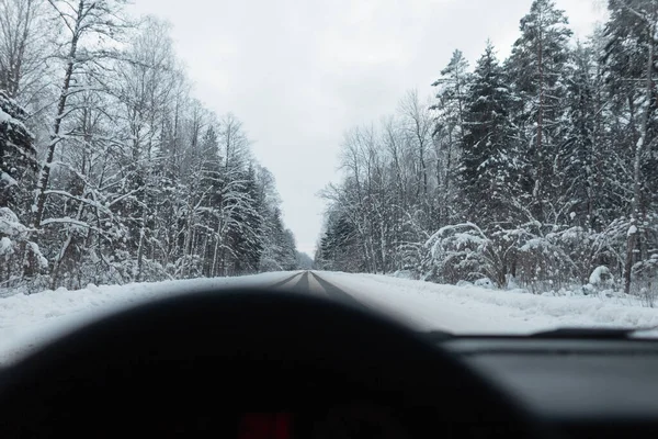 Araba kış ormanlarının ve karlı ağaçların arasında yol boyunca gider. İnanılmaz kış manzaraları