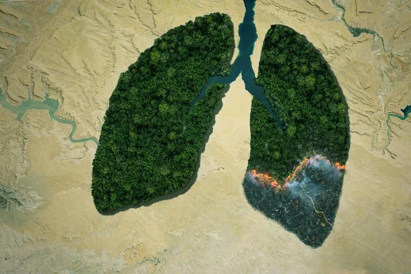 River Green Forest Lungs Fire Desert Global Warming Concept Burning — Stock Photo, Image