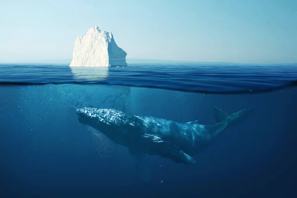 クジラと一緒に水中の海の中の氷山 海での野生生物 氷山と水中で美しいクジラ泳ぐ 地球温暖化概念 — ストック写真