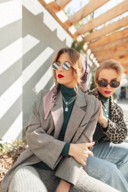 Eski moda güneş gözlüklü, gri takım elbiseli, leopar ceketli ve kot pantolonlu iki hippi güzel kadın güneşli sonbahar gününde öküzün üzerinde oturur. Şehirde şık kız arkadaşlar.
