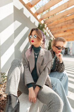 Eski moda güneş gözlüklü, şık gri zarif takım elbiseli, leopar desenli ceketli, kot pantolonlu, güneşli bir günde öküzün üstünde poz veren iki güzel kız. Şehirde modaya uyan hippi kadınlar