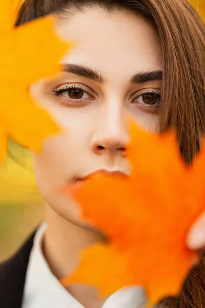 Autunno Ritratto Colorato Bella Donna Con Bel Viso Con Foglie — Foto Stock