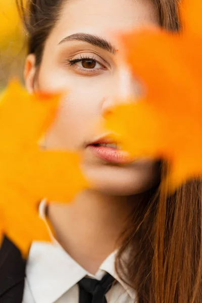 Herbst Nahaufnahme Porträt Einer Schönen Jungen Frau Mit Bunten Herbstblättern — Stockfoto
