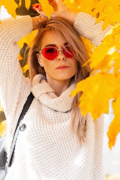 Outono Fresco Retrato Uma Bela Menina Com Óculos Sol Hipster — Fotografia de Stock