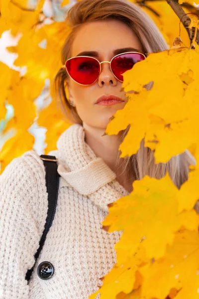 전통적 스웨터를 공원의 황금빛 나뭇잎에 아름다운 소녀의 초상화 — 스톡 사진