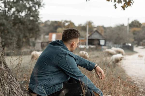 Stylish handsome country man in a fashion denim jacket sits on the grass near a tree and looks at a flock of sheep in the countryside