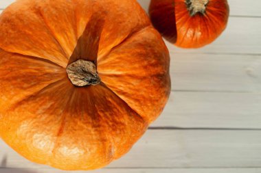 Parlak renkli turuncu renkli balkabakları gün batımında beyaz ahşap bir arka planda. Sonbahar Sebzeleri ve Hasat