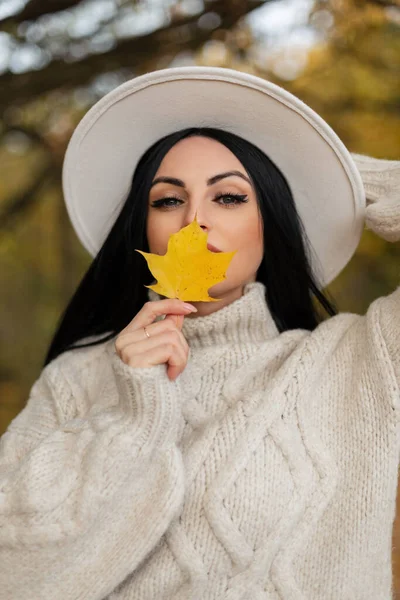 在公园里 一个身穿时髦古色古香的毛衣和帽子 头戴黄色秋叶的漂亮姑娘的美丽的秋天画像 — 图库照片