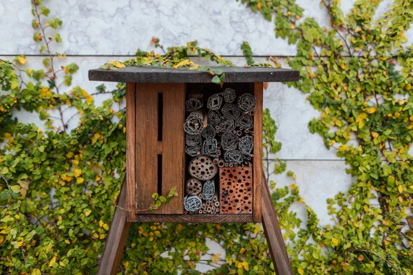 Hotel for insects. Protecting the environment. Save the bee