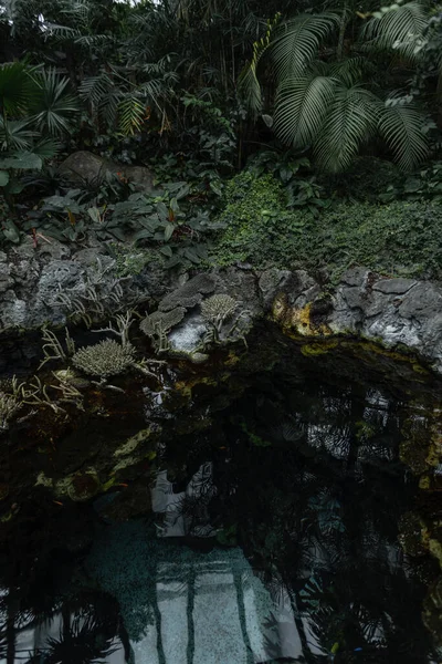 Exotická Vodopád Vody Palmovými Listy Zelení Džungli — Stock fotografie