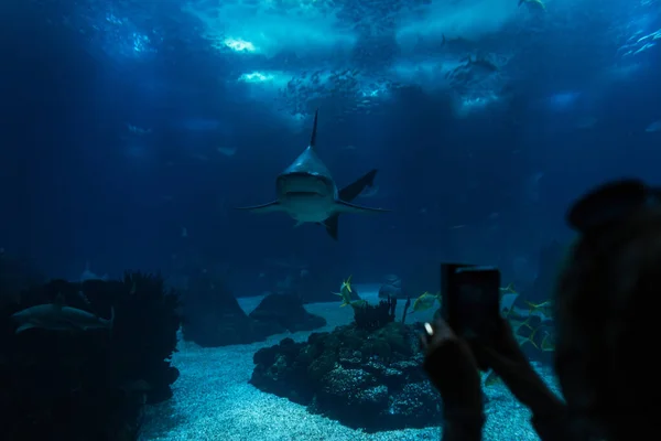 Tubarão Nada Debaixo Água Oceanário Silhueta Feminina Tira Uma Foto — Fotografia de Stock