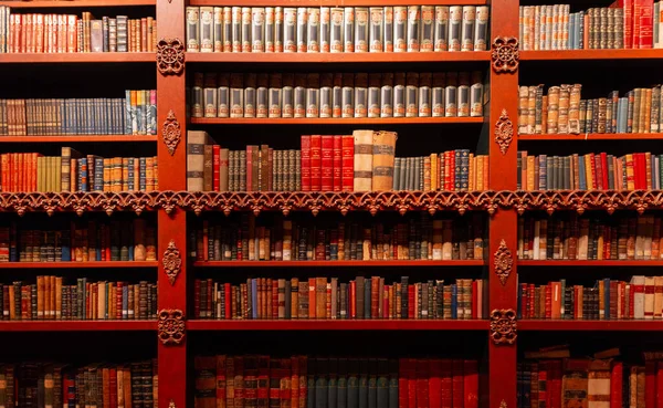 Bela Biblioteca Antiga Vintage Com Livros Escadas Literatura Ciência Aprendizagem — Fotografia de Stock