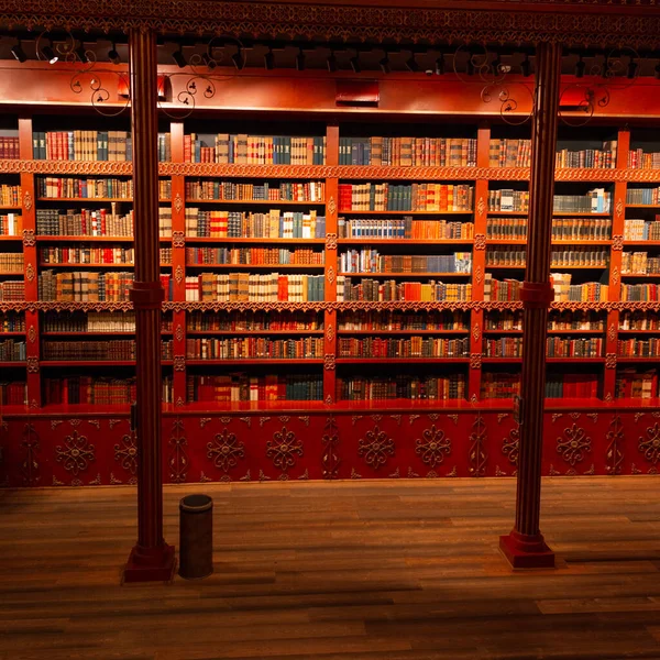 Grande Coleção Literatura Livros Nas Prateleiras Biblioteca Aprendizagem — Fotografia de Stock