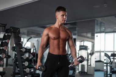 Spor salonunda dambıllarla spor yapan yakışıklı erkek vücut geliştirme sporcusu.