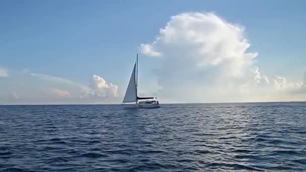 Yacht tra cielo e orizzonte . — Video Stock