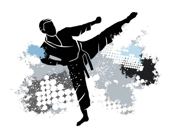 Bojové Umění Sportovní Grafika Dynamickým Pozadím — Stockový vektor