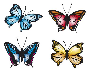 Vektör kalitesinde kelebekli grafiksel koleksiyon.