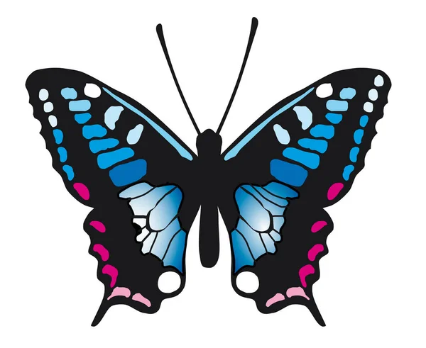 Graphic Butterfly Vector Quality — Vector de stock