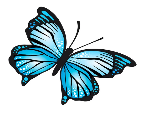Graphic Butterfly Vector Quality — Vector de stock