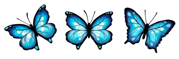 Blue Butterly Collection White Background — Foto de Stock