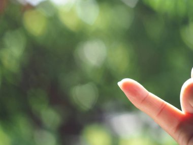 bokeh blur background heart green 